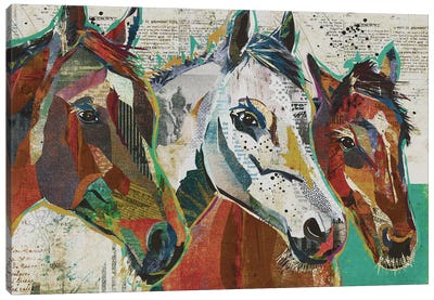3 Horses Canvas Art Print - Traci Anderson