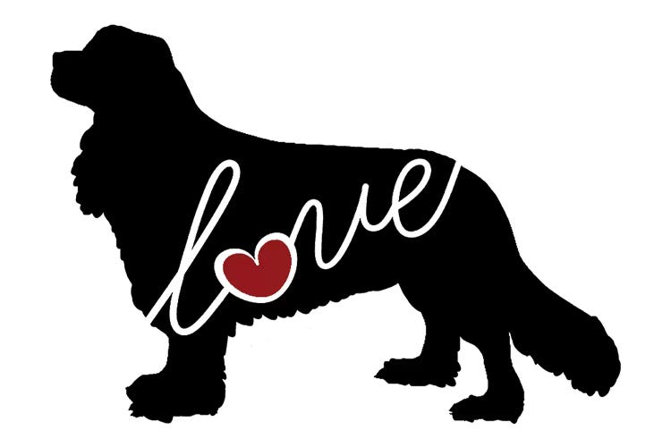 Cavalier King Charles by Traci Anderson wall art