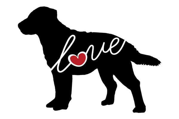 Traci Anderson: Chesapeake Retriever by Traci Anderson