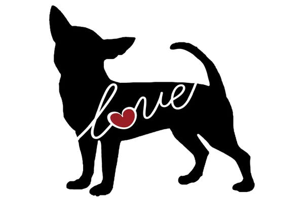 Chihuahuas: Chihuahua by Traci Anderson