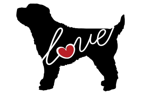 Traci Anderson: Cockapoo by Traci Anderson