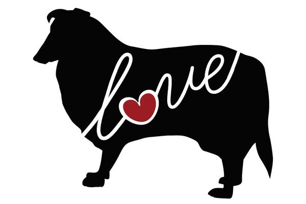 Collies: Collie by Traci Anderson