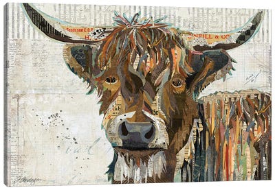 Colorful Highland Cow Canvas Art Print - Farm Animal Art