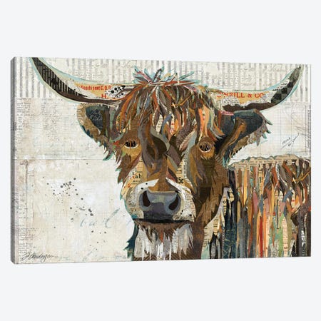 Colorful Highland Cow Canvas Print #TRA38} by Traci Anderson Art Print