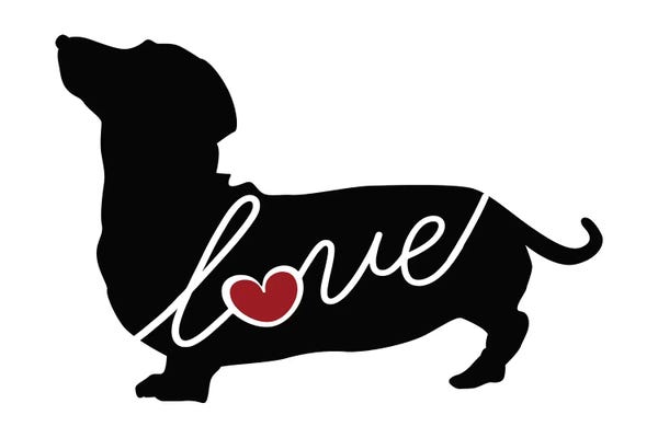 Dachshunds: Dachshund Short Hair by Traci Anderson