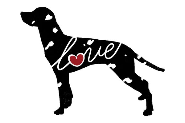 Dalmatians: Dalmatian by Traci Anderson