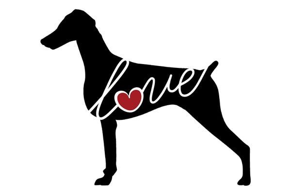 Traci Anderson: Doberman Undocked by Traci Anderson