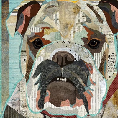 English Bulldog by Traci Anderson metal wall art