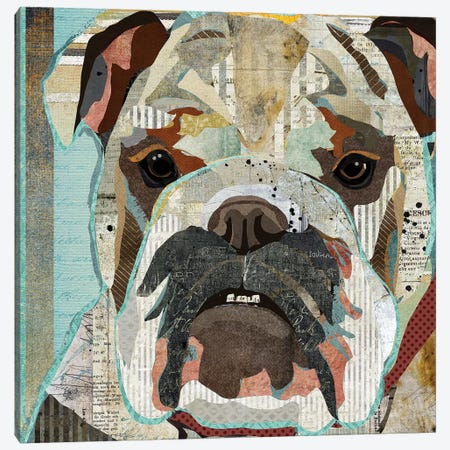 English Bulldog Canvas Print #TRA46} by Traci Anderson Canvas Print