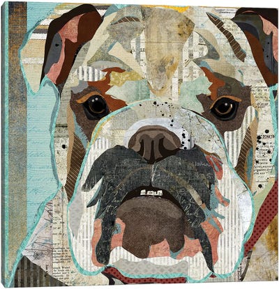 English Bulldog Canvas Art Print - Traci Anderson