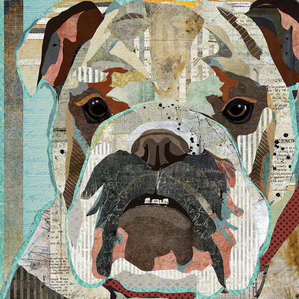 Traci Anderson: English Bulldog by Traci Anderson