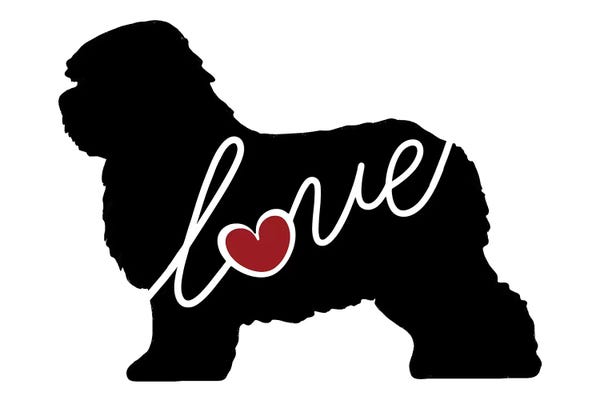 Other Breeds: English Sheepdog by Traci Anderson