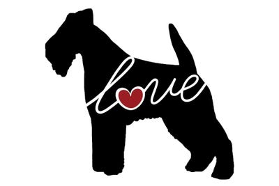 Wire Fox Terriers