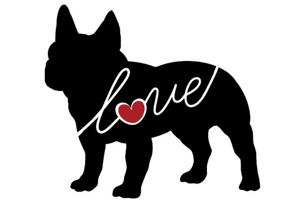 Traci Anderson: French Bulldog by Traci Anderson