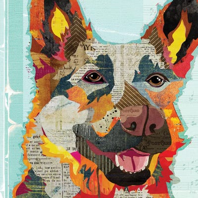 German Shepherd Ii by Traci Anderson metal wall art