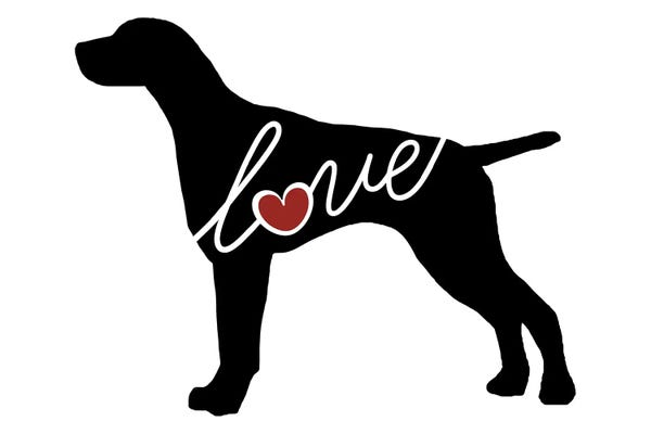 Traci Anderson: German Shorthaired Pointer by Traci Anderson