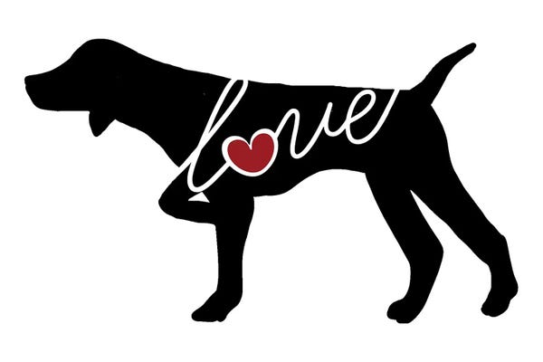 German Shorthaired Pointers: German Shorthaired Pointer Pointing by Traci Anderson