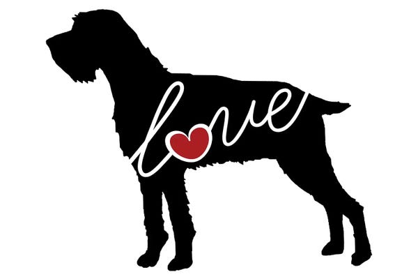 German Wirehaired Pointers: German Wirehaired Pointer by Traci Anderson