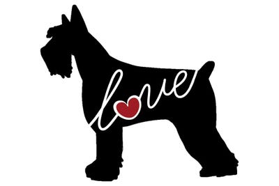 Giant Schnauzer by Traci Anderson metal wall art