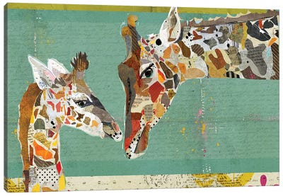 Giraffe Calf Canvas Art Print - Traci Anderson