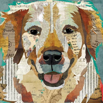 Golden I by Traci Anderson framed wall art