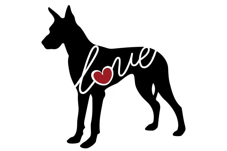 Great Dane by Traci Anderson wall art
