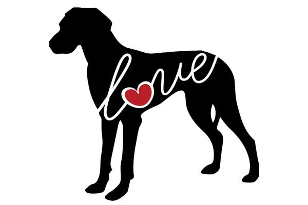 Great Danes: Great Dane Natural by Traci Anderson