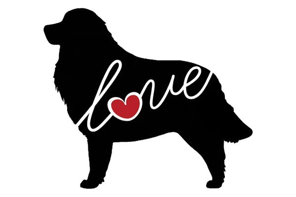 Great Pyrenees: Great Pyranees by Traci Anderson