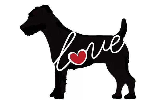 Traci Anderson: Jack Russel by Traci Anderson
