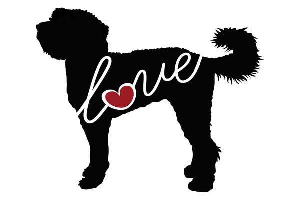 Labradoodles: Labradoodle by Traci Anderson