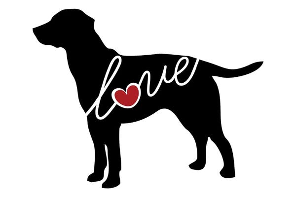 Labrador Retrievers: Labrador by Traci Anderson