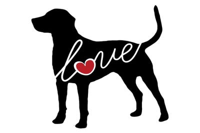 Catahoula Leopard Dogs