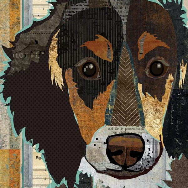 Dachshunds: Long Haired Dachshund I by Traci Anderson