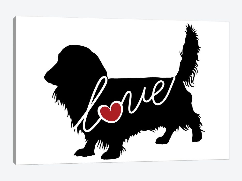 Long Haired Dachshund II by Traci Anderson 1-piece Canvas Wall Art