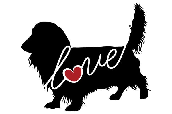 Traci Anderson: Long Haired Dachshund II by Traci Anderson