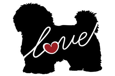 Maltese Havanese by Traci Anderson framed wall art