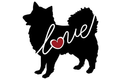 American Eskimo Dogs