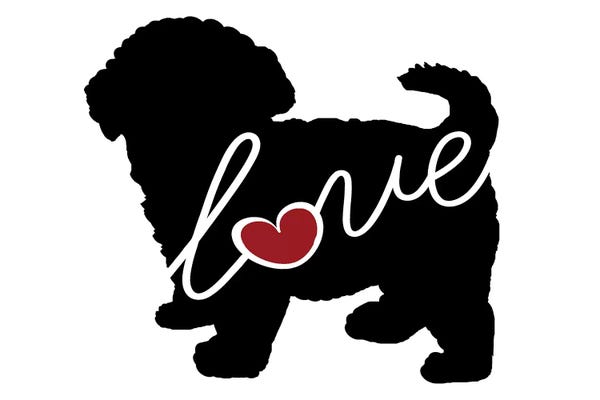 Maltese: Maltipoo by Traci Anderson