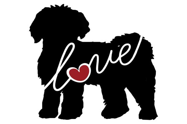 Labradoodles: Mini Labradoodle Goldendoodle by Traci Anderson