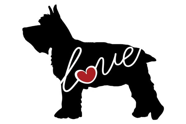 Traci Anderson: Mini Schnauzer by Traci Anderson