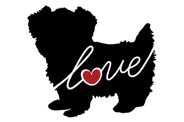 Maltese: Morkie by Traci Anderson