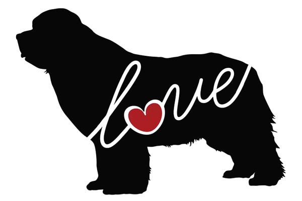 Newfoundlands: Newfoundland by Traci Anderson