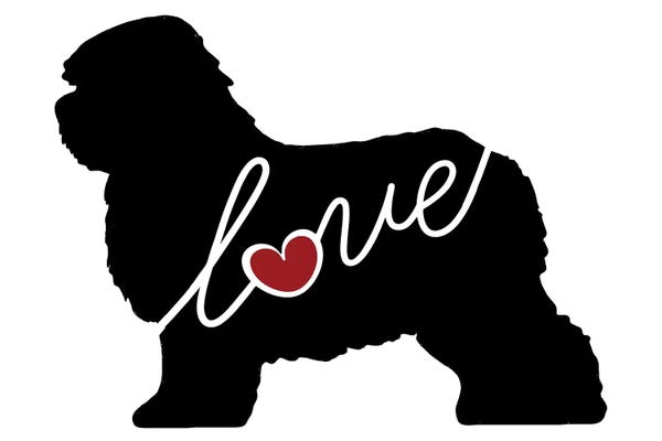 Traci Anderson: Old English Sheepdog by Traci Anderson