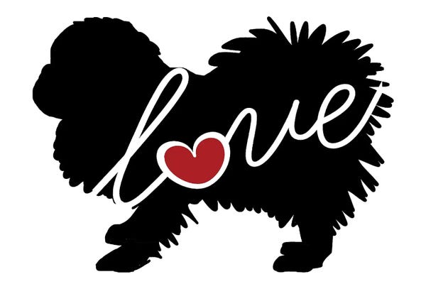Traci Anderson: Pekingese by Traci Anderson