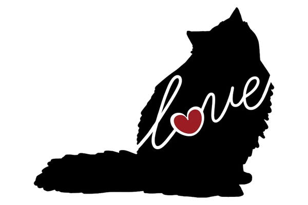 Ragdolls: Ragdoll Cat by Traci Anderson