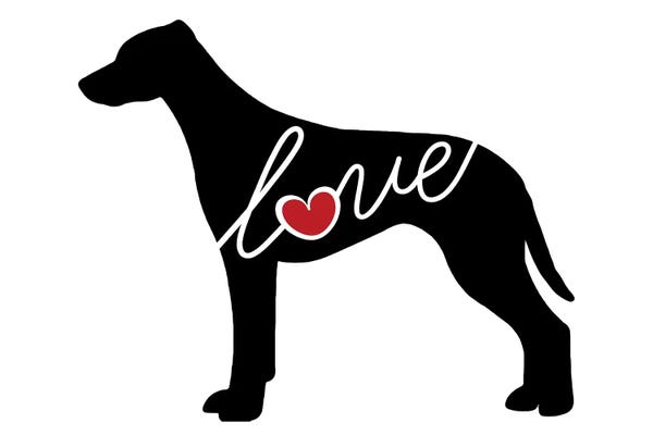 Rhodesian Ridgebacks: Rhodesian Ridgeback by Traci Anderson