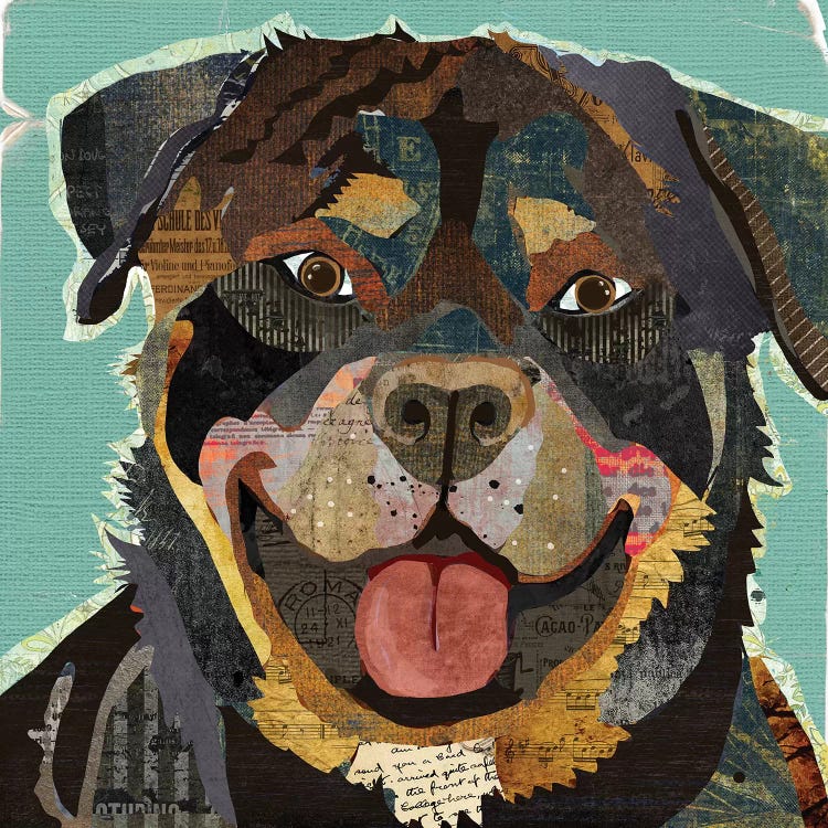 Rottie by Traci Anderson wall art