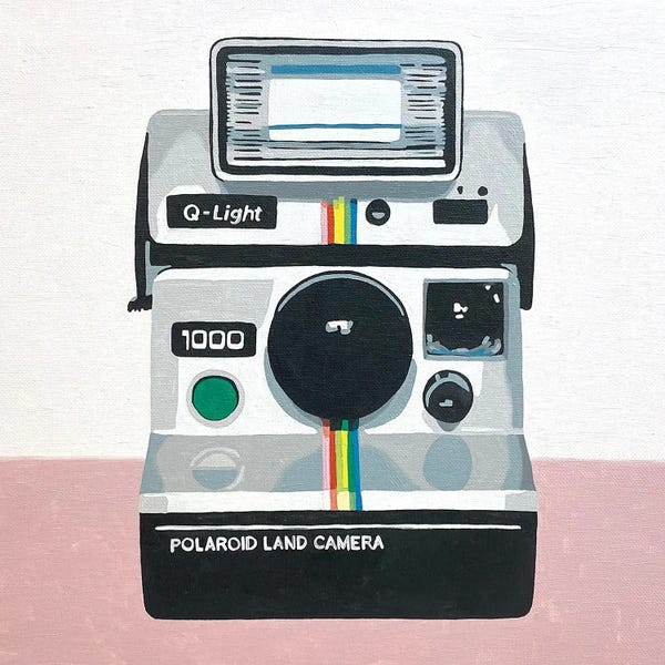 A New Take On Nostalgia: Polaroid by Tara Barr