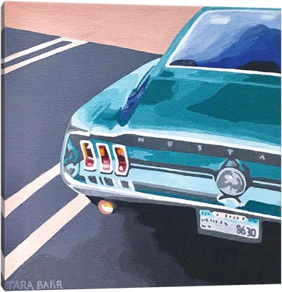 Mustang Canvas Art Print - Tara Barr