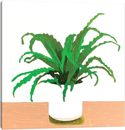 Houseplant Canvas Art Print - Plant Mom